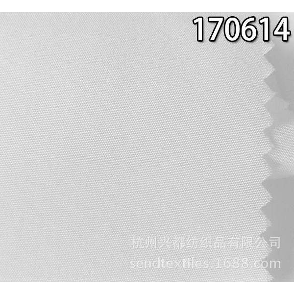 170614有光人丝棉 平纹面料