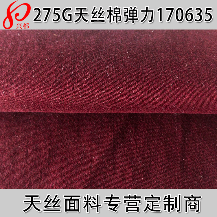170635天丝棉弹力磨毛